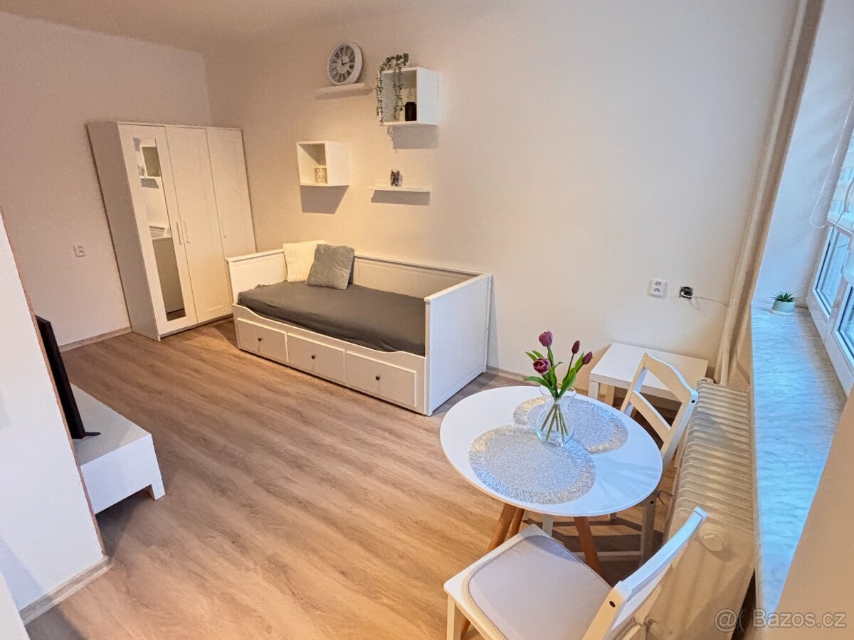 Pronájem bytu Tachov - 6