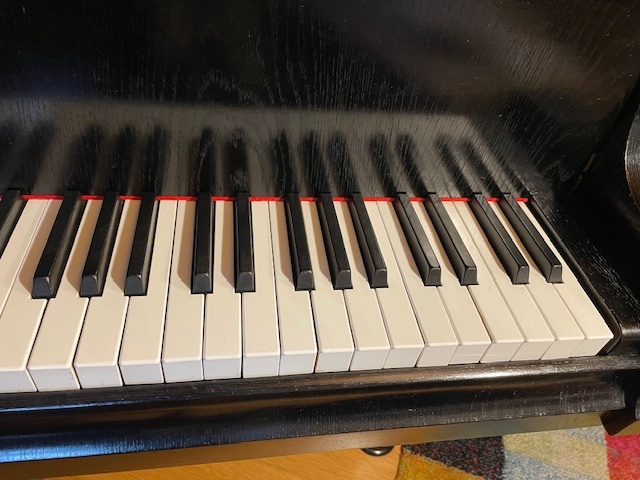 Klavír – křídlo August Förster - 6