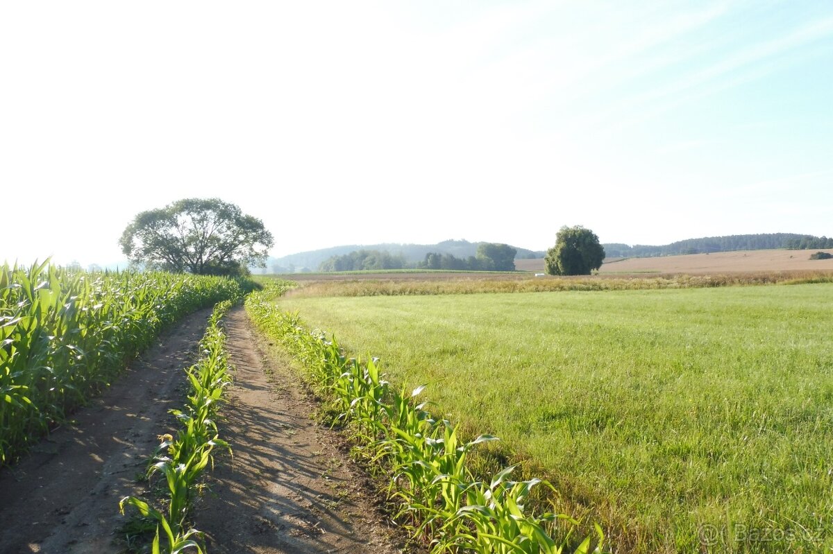 Pozemky v obci Blatná - 6