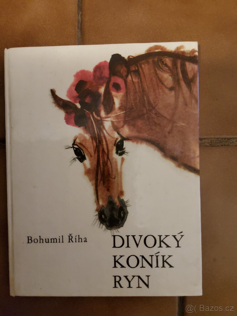 Knížky pro děti (české) - 6