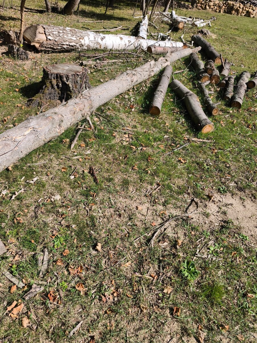 Prodám převážně Tvrdé listnaté dřevo - 6