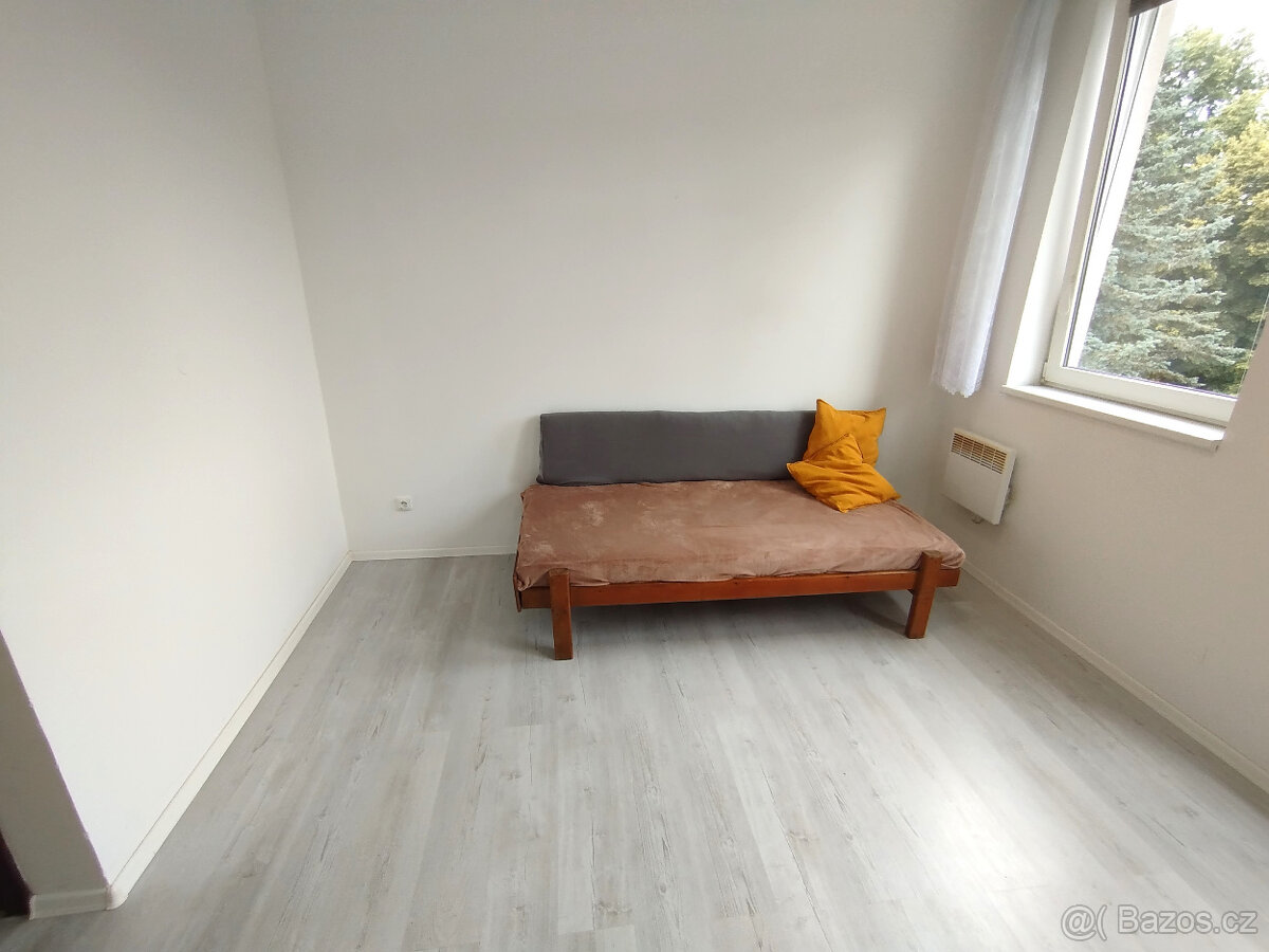 Pronájem garsonky 18m2 - 6