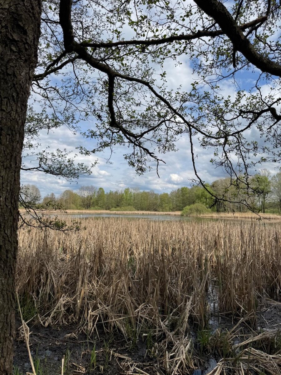 Prodám pozemky v katastrálním území Mníšek - 6