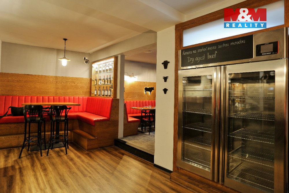 Prodej obchod a služby, 890 m², Olomouc, ul. Riegrova - 6