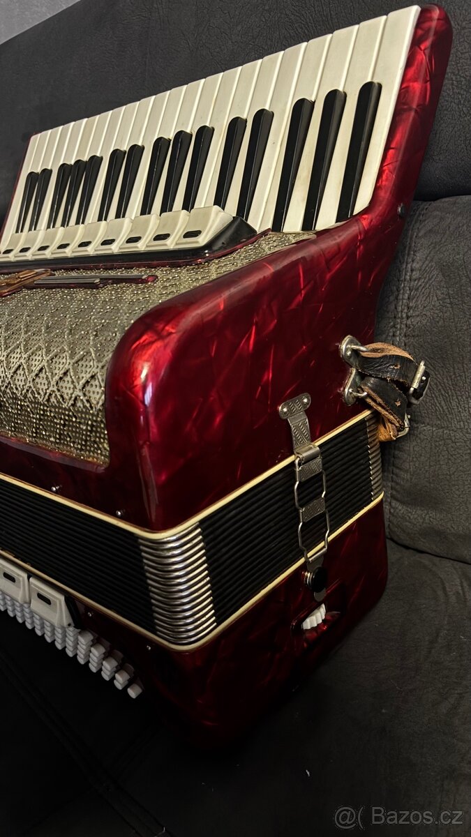 Weltmeister Gigantilli IV - 6