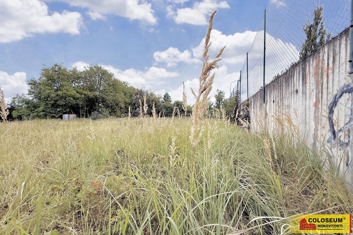 Sebranice - zahrada, příjezdová asfaltová komunikace, oploce - 6