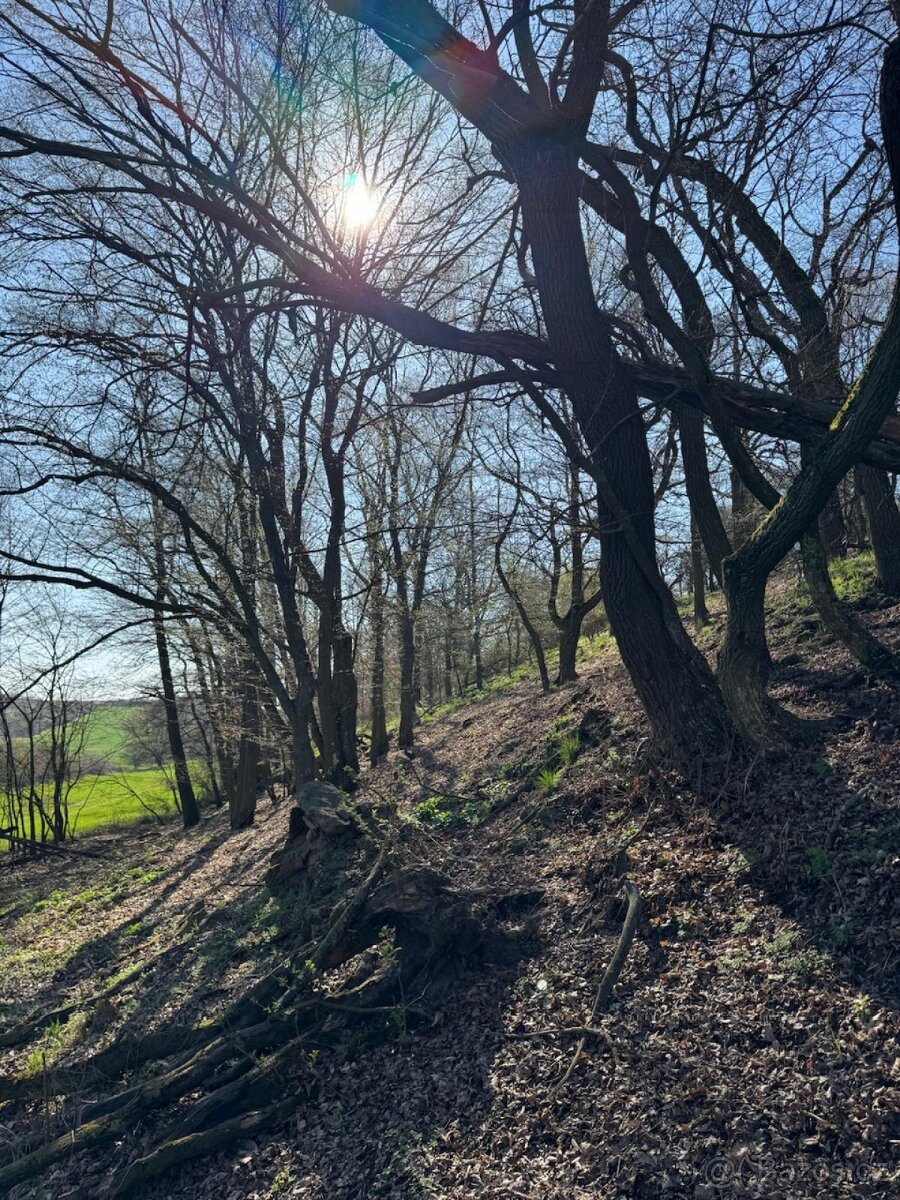 Prodám pozemky v katastrálním území Jevišovice - 6