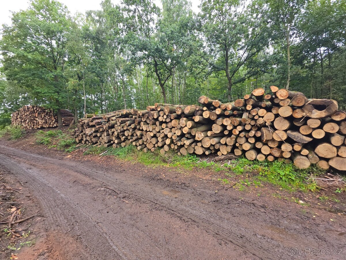Palivové dřevo - 6