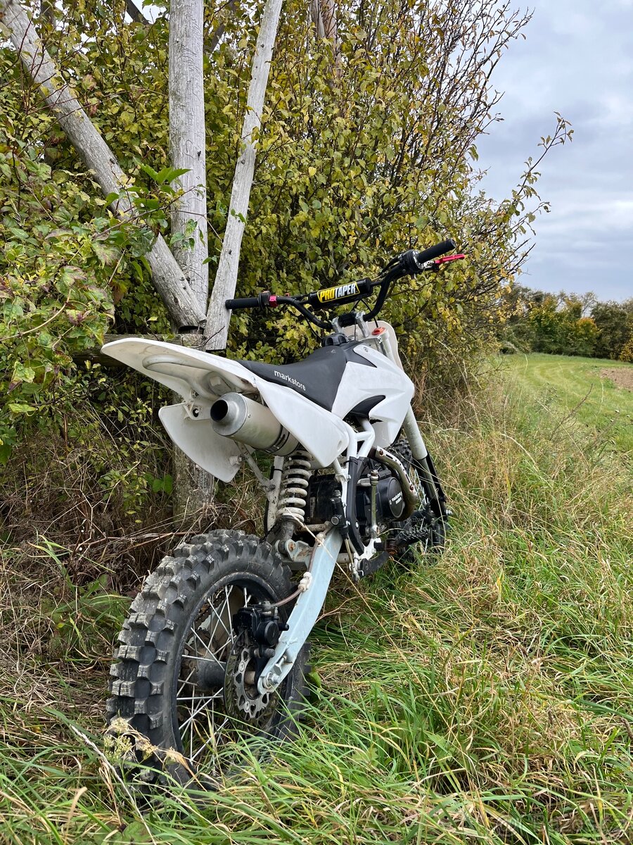 pitbike 125 Thunder - 6