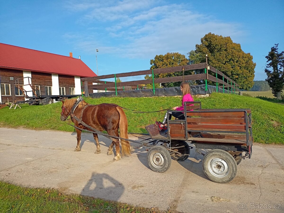 Valach pro začátečníky - 6