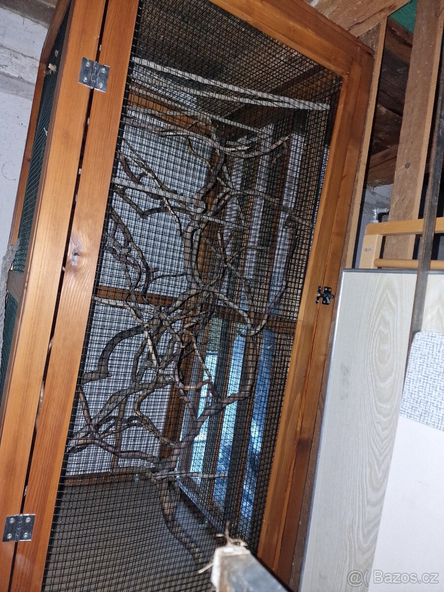 Terárium a flexárium - 6