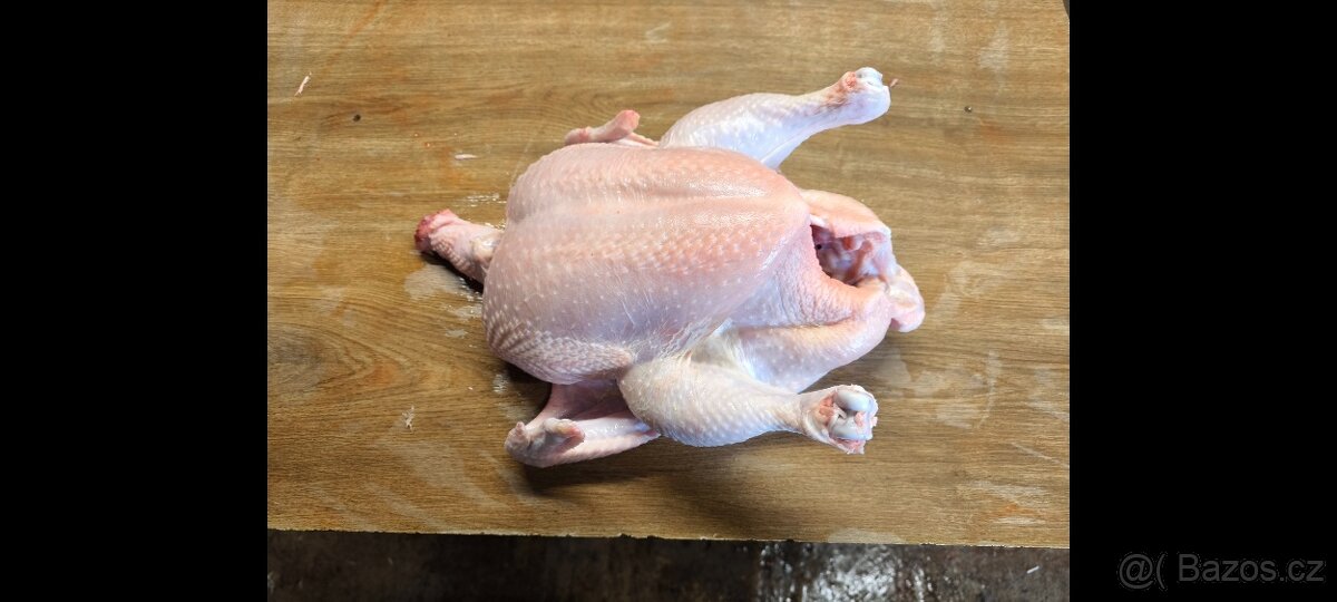 Kuřata kuřecí maso brojler - 6
