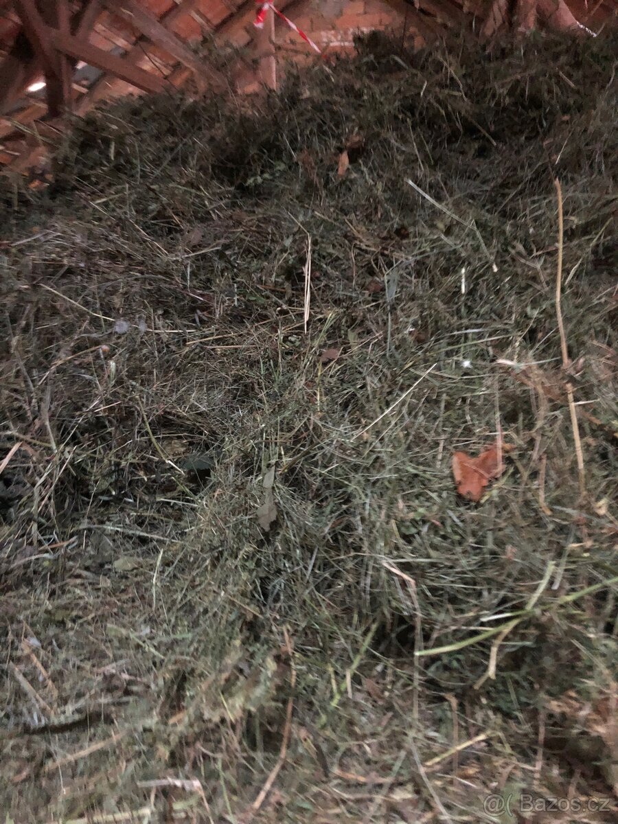 PRODÁM LEVNĚ KRÁSNÉ ZELENÉ A VOŇAVÉ SENO 2025 - 6