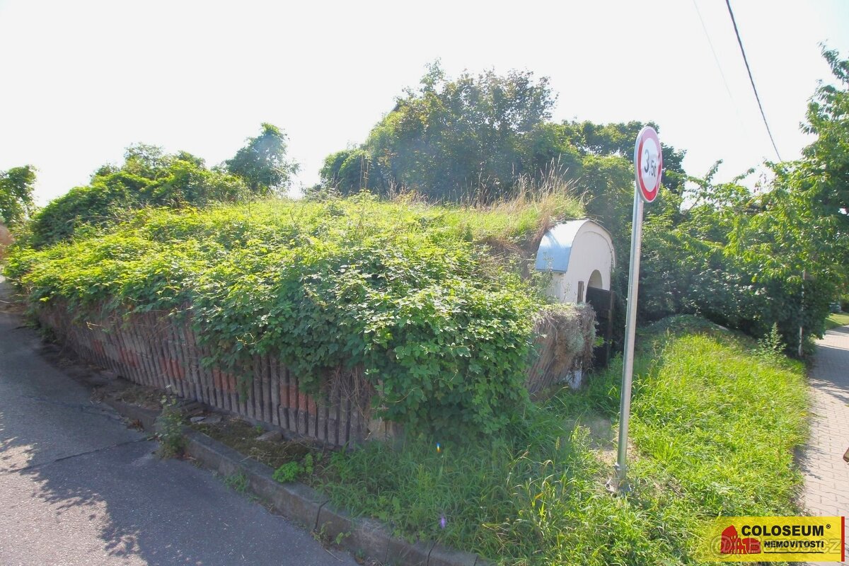 Hrušovany nad Jevišovkou, vinný sklep, lisovna, pozemek 201m - 6