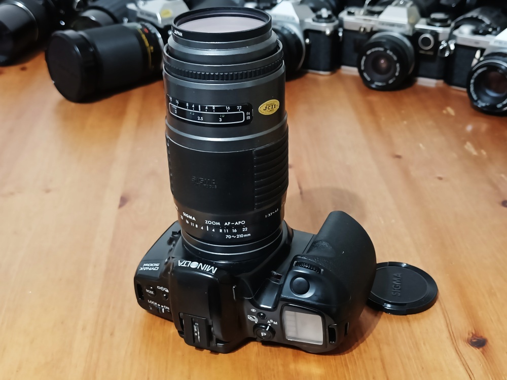 MINOLTA Dynax 500si (Sigma APO Zoom 70-210mm) - 1994 - 6