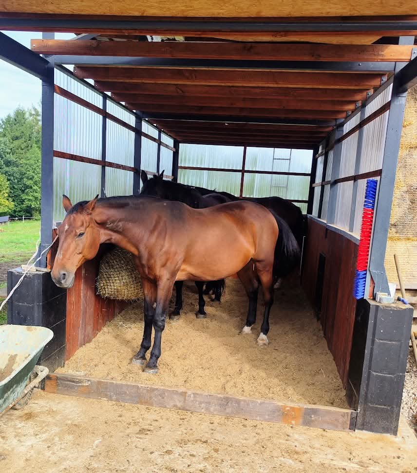 Pastevní volné ustájení - 6