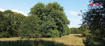 Prodej pozemku k bydlení, 11412 m², Řisuty - 6