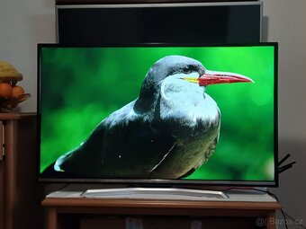 48" Smart TV JVC LT 48VF52-úhlopříčka 122cm,Wi-Fi, DVB-T2 - 6