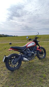 Ducati Scrambler Icon 800 2021 - 6