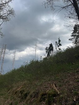 Prodám pozemky v katastrálním území Zahorčice u Vrábče - 6