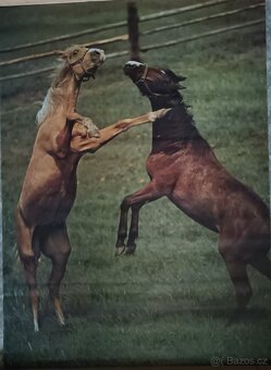 Plakáty - retro - různé - 1 ks/100,- - 6