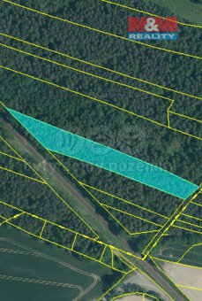 Prodej lesa, 6794 m², Doňov - 6