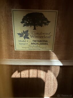 Tanglewood TW 7-AB CE NA - 6