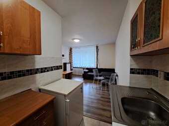 Pronájem 1+kk-zvýšené přízemí 28m², okno do zahrady. Šilingr - 6