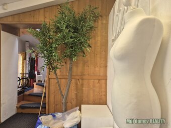 Pronájem skladového / komerčního prostoru  60 m,  Praze 9  L - 6