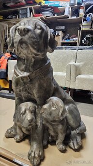 Dekorativní psíci Samiran - 6