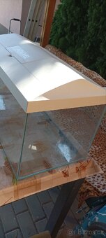 Akvárium - 6