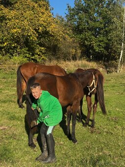 Úžasný líbivý hodny hřebeček - 6