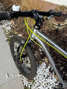 Early Rider Belter 20 - Trail 3S - 9,35kg - řemen - 6