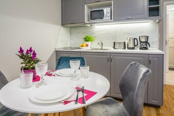 Pronájem bytu 1+kk, 37 m²-Karlovo náměstí, Praha - od - 6