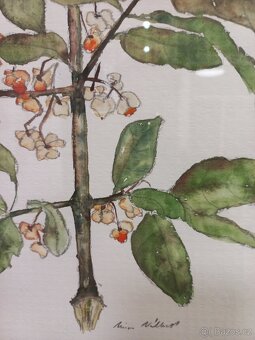 Obraz akvarel III - 6