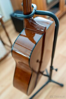 Akustická kytara Yamaha F310 - 6