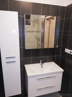 Pronájem bytu Za Zelenou liškou 2+kk • 50 m² - 6