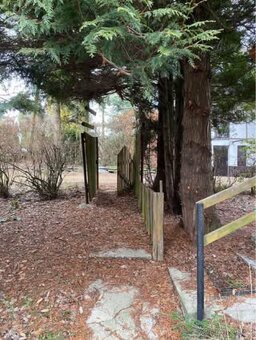 Prodej - chata Dalov - 6