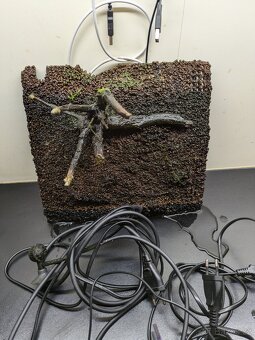 Prodám malé akvarium Invital s vybavením - 6