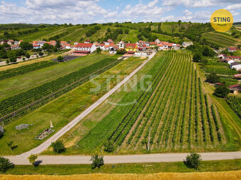 Pozemek pro vinný sklep s ubytováním a  s vinicí,  B, 132041 - 6