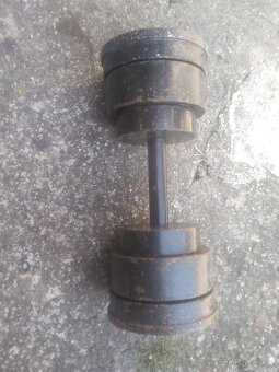 Činky jednorucky - 6