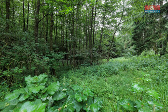 Prodej pole, 11043 m², Svárov - 6