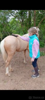 Pony kobylka - 6