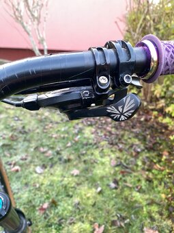 Yt industries capra - 6