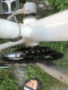Kolo 24"-26" - 6