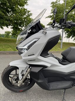 LINHAI SCOOTER ADV BUCK 125 - 6