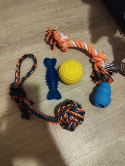 Základní výbava pro střední až velké štěně - 6