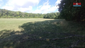 Prodej louky, 16692 m², Jenčice - 6