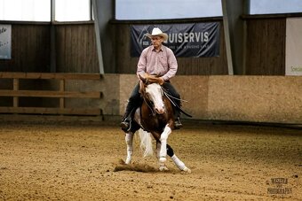 Quarter horse hrebecek, double register - 6