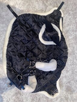 Hobby horse - 6